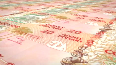 Lazo-del-balanceo,-dinero-en-efectivo,-en-billetes-de-veinte-dólares-de-Islas-Cook