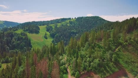 Aerial-flythrough-of-beautiful-mountains-and-forest.-In-the-frame,-the-sky-and-coniferous-forest,-a-bird's-eye-view