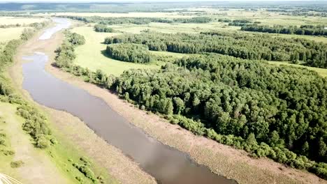 Vista-aérea-del-paisaje-pintoresco-bosque