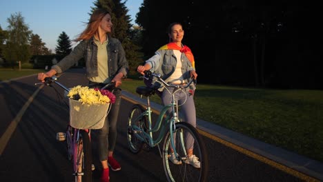 Smiling-lgbt-couple-leisurely-walking-on-bike-path