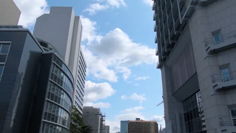 Flying-through-the-streets-of-Frankfurt