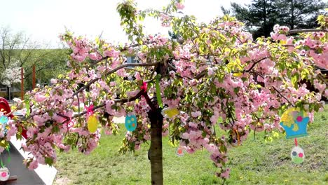 Osterbaum-im-Garten---Moderner-öffentlicher-Baukindergarten---Kindergarten