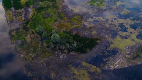 Ein-schöner-Ort-in-der-Natur,-wo-der-Fluss-ans-Ufer-verschüttet-wird