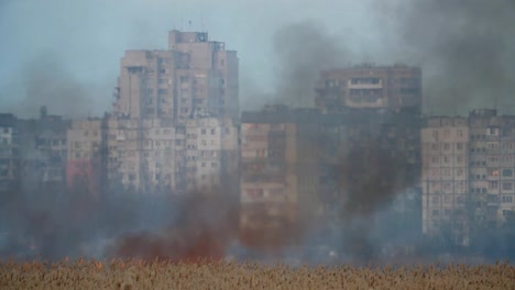 Alarmierende-Ansicht-von-schwarz-weißem-Rauch,-der-im-Frühjahr-in-Zeitlupe-über-den-bulrush-cattails-in-der-Ukraine-aufsteigt