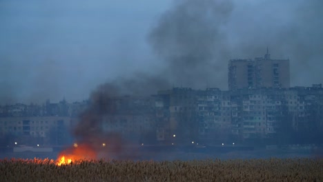 Erstaunliche-Aussicht-auf-den-brennenden-Rohr,-Sedge-und-Schilf-am-Dnipro-Flussufer-am-Stadtrand.-Die-Häuser-sind-weit-weg.