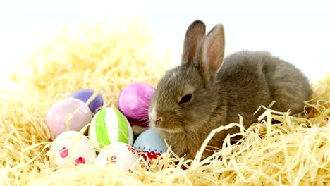 Easter-eggs-with-Easter-bunny-in-nest