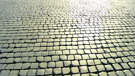 Paving-stones,-Saint-Peter-square.