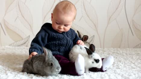 Little-toddler-child,-baby-boy,-playing-with-bunnies