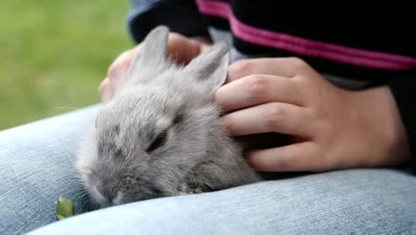 Girl-hold-little-rabbit