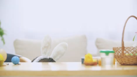 Young-adorable-boy-is-hiding-under-the-table-full-of-Easter-decorations-and-is-playing-with-Easter-bunny-in-his-hand.-Bunny-theatre.-Discussion.-Conversation:-cheerful-boy-and-a-soft-bunny.