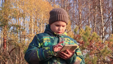 Ein-Junge-vor-dem-Hintergrund-der-gelben-Vegetation-hält-eine-Tablette-und-schaut-sie-an