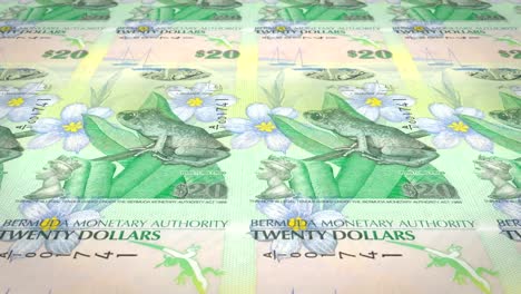 Banknotes-of-twenty-bermudian-dollars-of-Bermuda-rolling,-cash-money