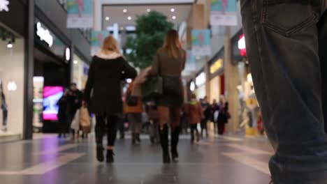 Time-lapse-of-people-at-shopping-mall