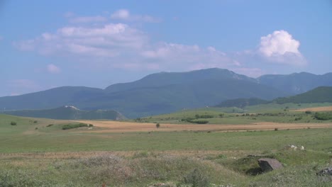 Grünen-Wiese-Blick