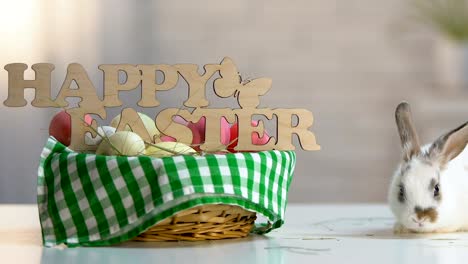 Fluffy-rabbit-sitting-near-congratulatory-Easter-basket-like-symbol-of-holy-fest