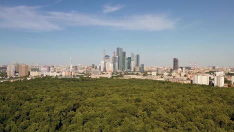 Luftblick-auf-die-Metropole-an-einem-Sommertag-von-der-Flussaue-und-Grünflächen