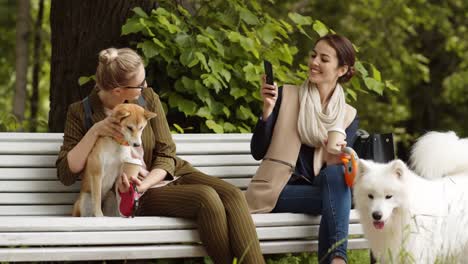 Mujeres-haciendo-fotos-con-sus-perros