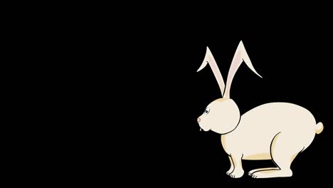 Rabbit-Hops-Animated-Transparent