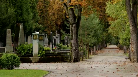 Panorama-of-beautiful-Mirogoj-cemetery-park-with-lots-of-graves-and-tombs