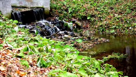 Flujos-de-agua-abajo-de-la-pendiente-del-canal-en-la-quebrada