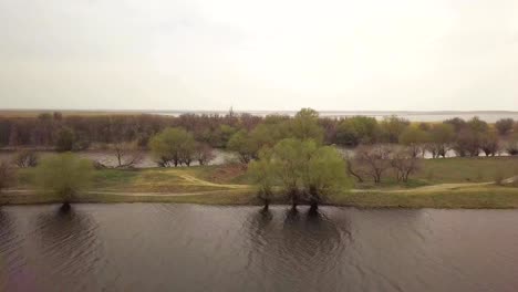 Trees-on-river-shore-and-cape-river-on-background-cloudy-sky-drone-view