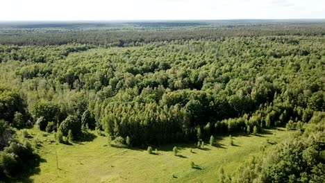 Luftaufnahme-des-malerischen-Waldlandschaft-in-Zentralrussland