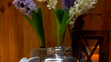 Hyacinths-on-a-table-with-a-festive-Easter-setting