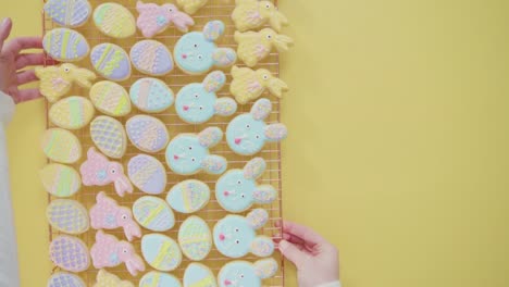 Osterzucker-Kekse-mit-königlichem-Sahnehäubchen-in-verschiedenen-Farben-verziert