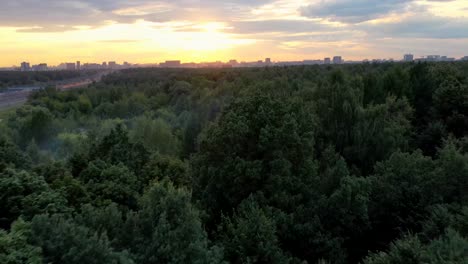 Über-die-Bäume-eines-großen-Stadtparks-zum-Sonnenuntergang-fliegen