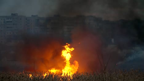 Beeindruckender-Blick-auf-schimmernde-gelbe-und-rote-Flamme,-die-das-Schilf-Feuchtgebiet-am-Stadtrand-nachts-im-Frühjahr-tief-brennt