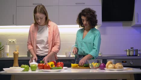 Two-females-cutting-organic-vegetables,-cooking-salad-at-home,-togetherness