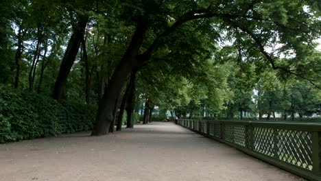 Terraplén-del-lago-en-el-jardín-de-verano-en-el-verano---St-Petersburg,-Rusia