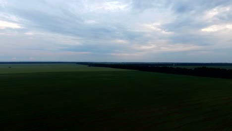 Drone-volando-sobre-el-campo-verde-en-tiempo-nublado.