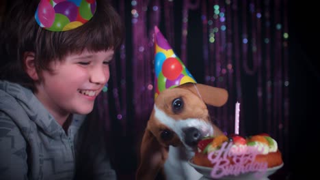 4-k-cumpleaños-Beagle-perro-comiendo-pastel-con-niño