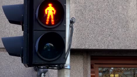 Die-Ampel-regelt-den-Verkehr-von-Kraftfahrzeugen