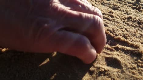 Man-is-looking-for-coins-in-the-sand.-Search-for-antique-coins.