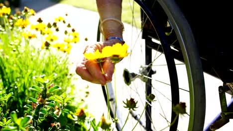 Nahaufnahme-von-behinderten-Seniorinnen,-die-eine-Blume-im-Garten-des-Pflegeheims-4k-halten