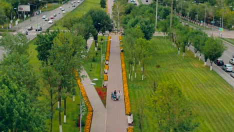 La-familia-con-un-hijo-discapacitado-pasa-por-el-parque.-Vídeo-de-vista-aérea-desde-el-helicóptero.-Vista-superior.