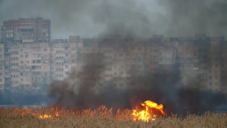 Überraschende-Ansicht-von-zwei-dicken-Strömen-von-schwarzem-Rauch-und-lodernden-wuchernden-Katzenschwänzen-am-Dnipro-Flussufer-im-Frühjahr-in-slo-mo