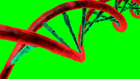 Animierte-DNA-Kette.-Rotation-DNA