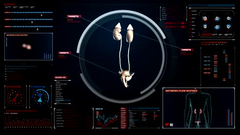 Scan-Nieren-Digitalanzeige-Dashboard.-Röntgenblick.