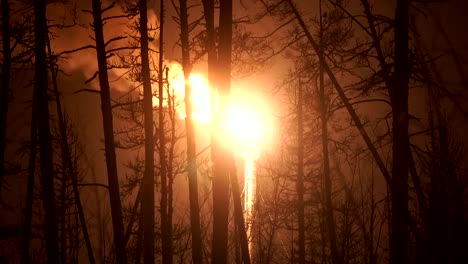 Öl,-Gas-Fackel-in-der-Nacht-in-der-Taiga.