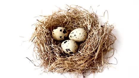 Nest-from-straw-with-quail-eggs