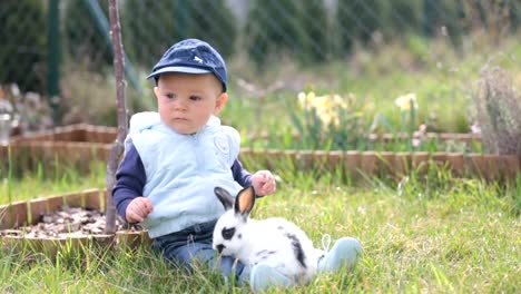 Cute-little-baby-boy,-child-playing-little-bunny-in-park,-outdoors