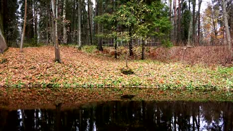 People-walk-on-the-slope-over-the-serene-lake