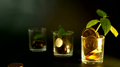 Golden-coins-in-glass-and-green-leaf-of-sprout-on-black-background.-Success-of-finance-business,-investment,-ideas.