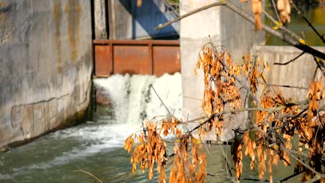 Dam-on-a-small-river.-Waterfall.-Landscape-of-the-autumn.