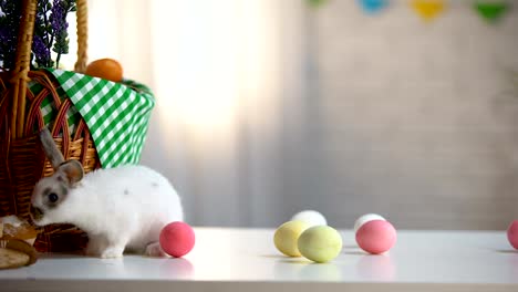 Little-Easter-bunny-eating-sweet-cake,-colored-eggs-and-basket-on-table,-food