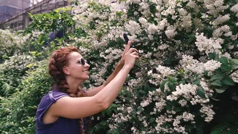 Smartphone.-A-young-woman-takes-flowers-on-a-smartphone.