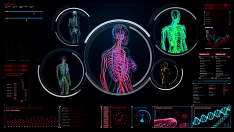 Female-scanning-blood-vessel,-lymphatic,--circulatory-system-in-digital-display